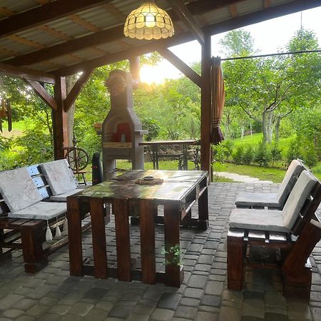 Hotel Окремий Будинок-Апартаменти Rakoshyno Extérieur photo