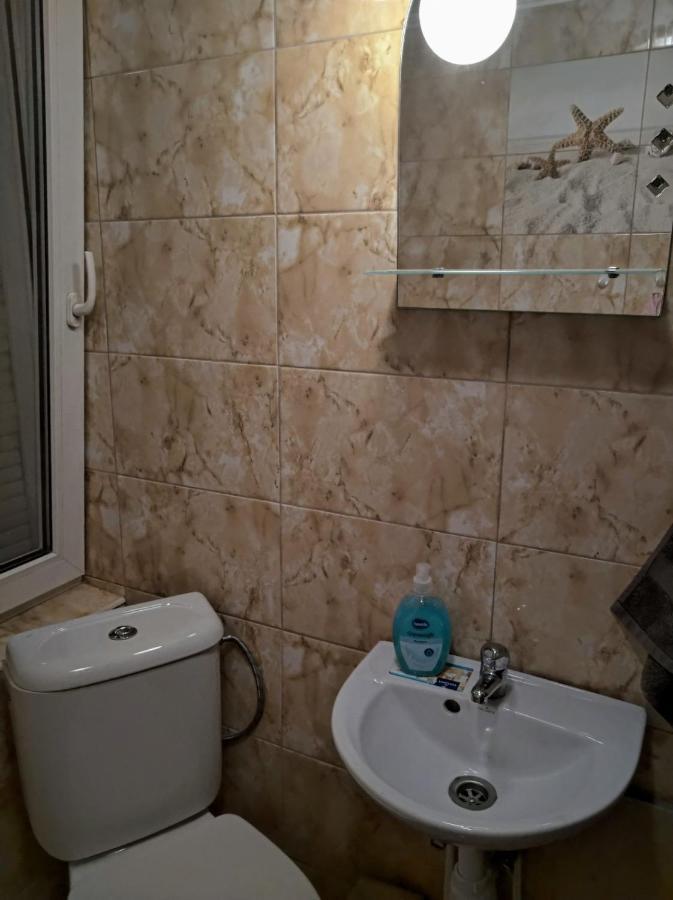 Hotel Окремий Будинок-Апартаменти Rakoshyno Extérieur photo