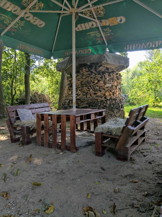 Hotel Окремий Будинок-Апартаменти Rakoshyno Extérieur photo