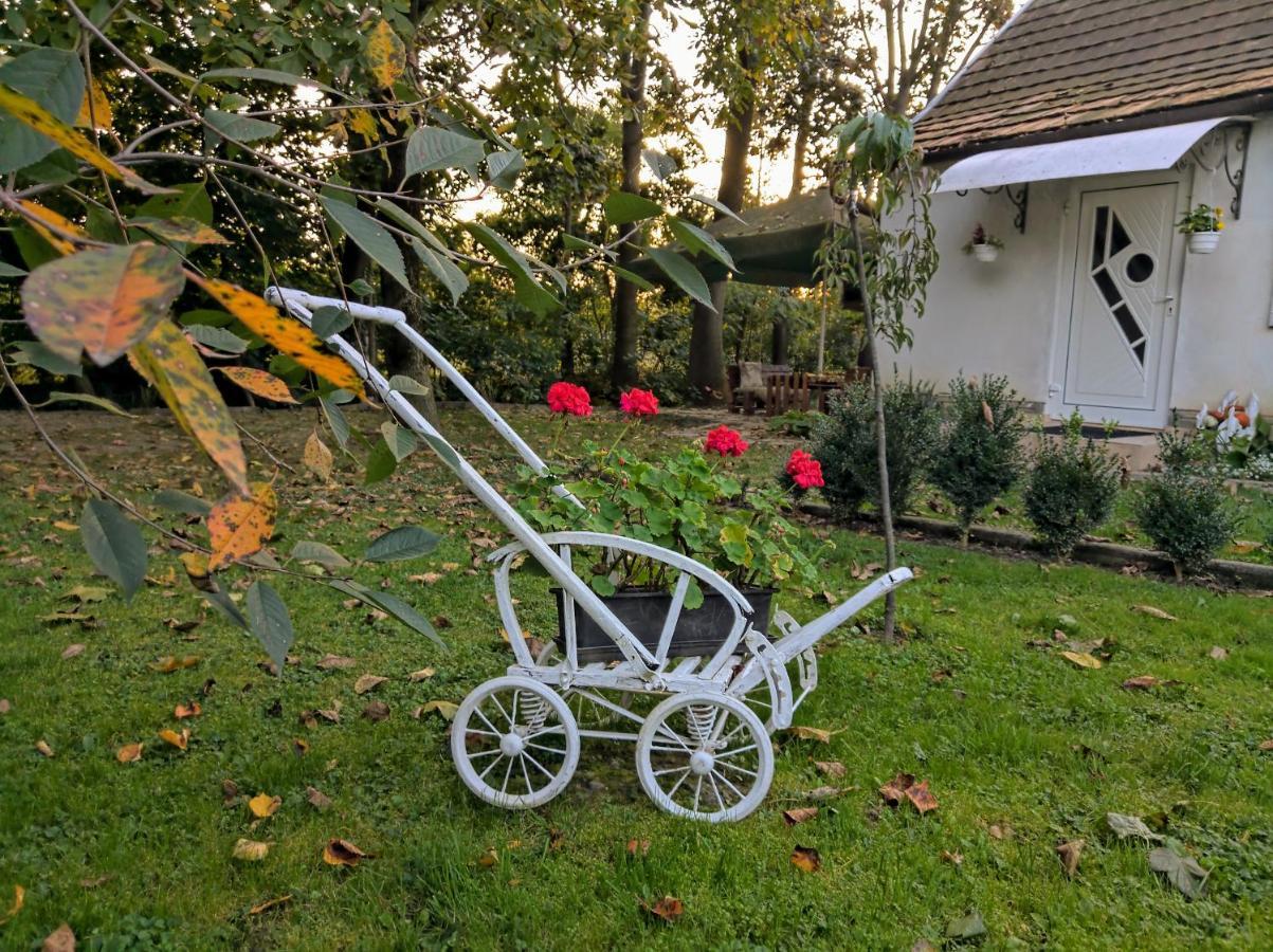 Hotel Окремий Будинок-Апартаменти Rakoshyno Extérieur photo