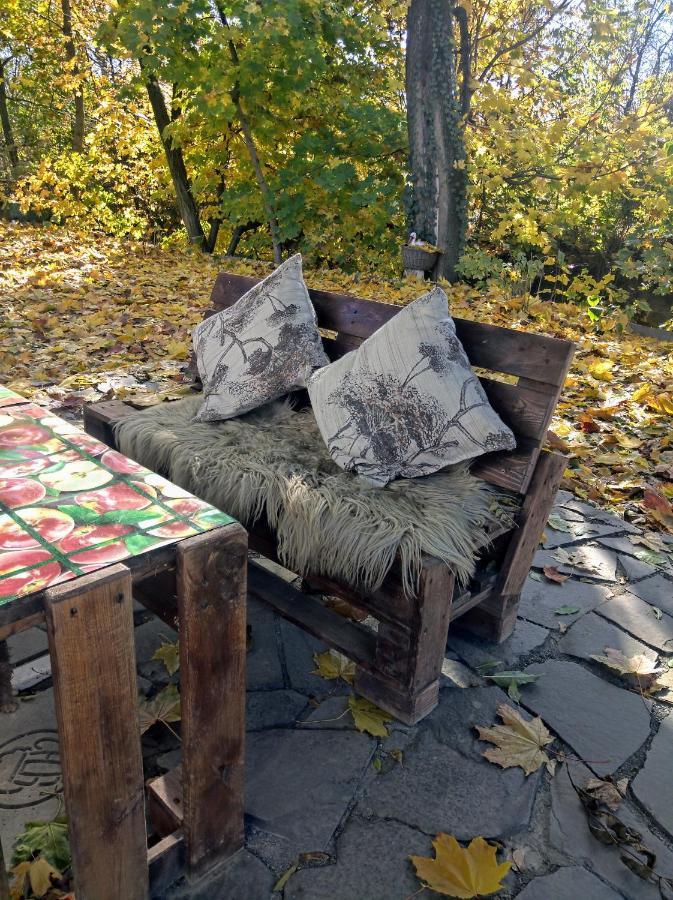 Hotel Окремий Будинок-Апартаменти Rakoshyno Extérieur photo