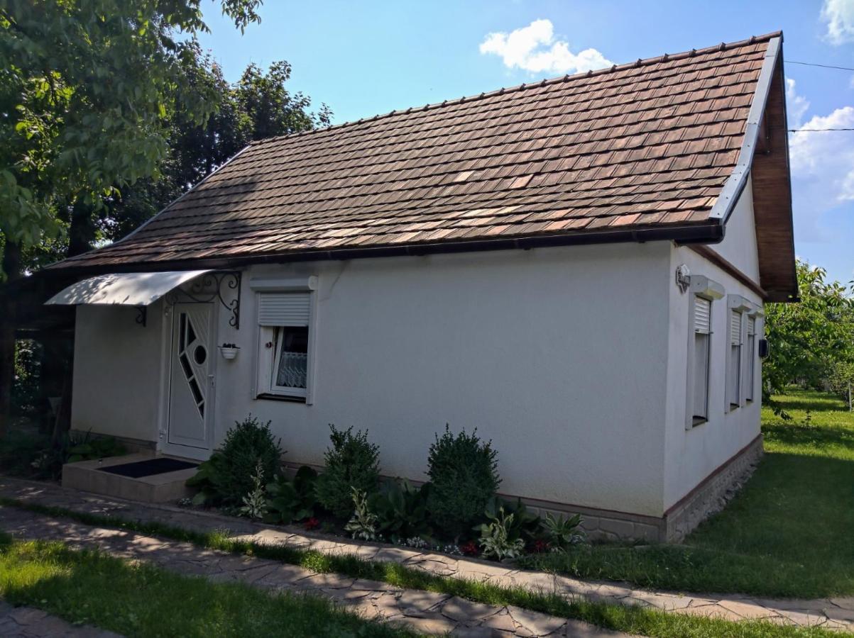 Hotel Окремий Будинок-Апартаменти Rakoshyno Extérieur photo