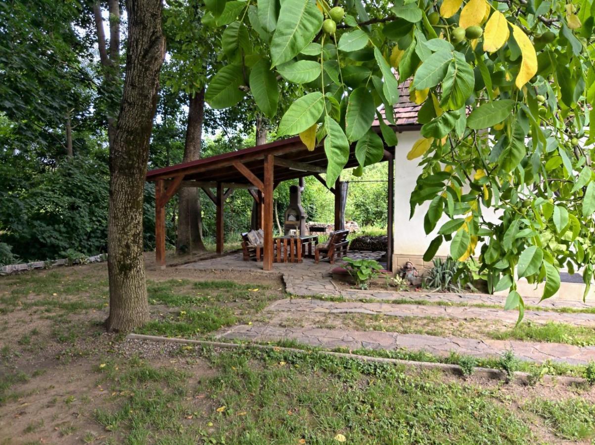Hotel Окремий Будинок-Апартаменти Rakoshyno Extérieur photo