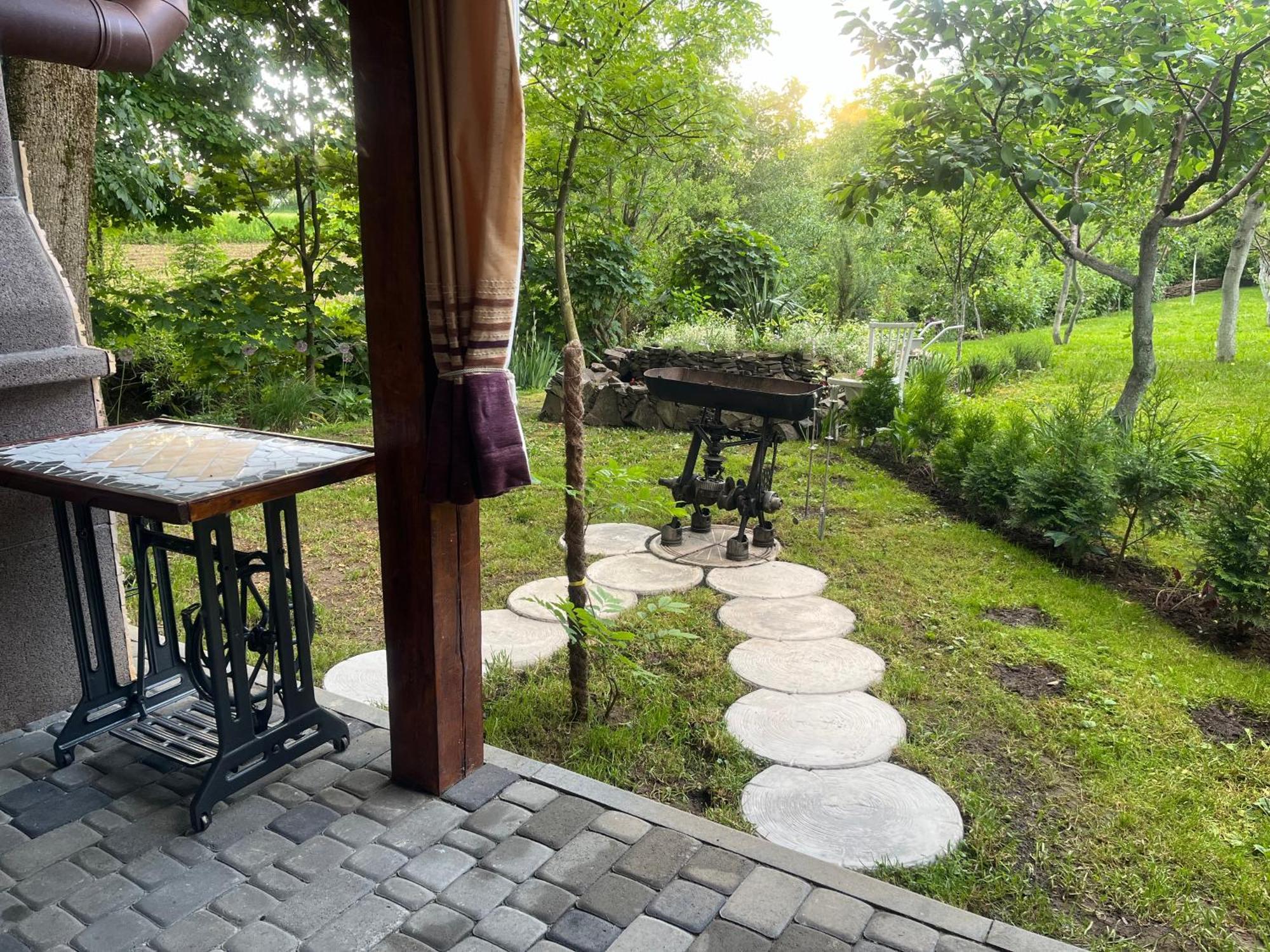 Hotel Окремий Будинок-Апартаменти Rakoshyno Extérieur photo